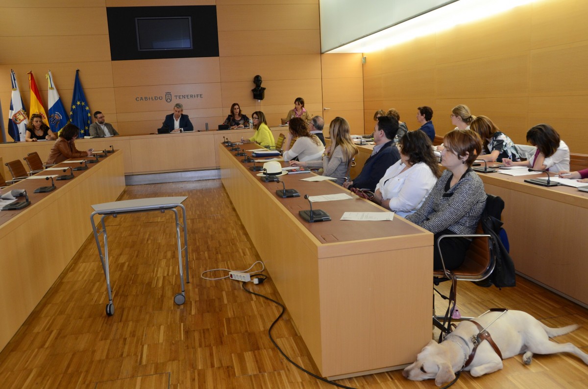 Reunión de los concejales de Servicios Sociales de Tenerife con el Cabildo, en el Consejo Insular del área. / DA