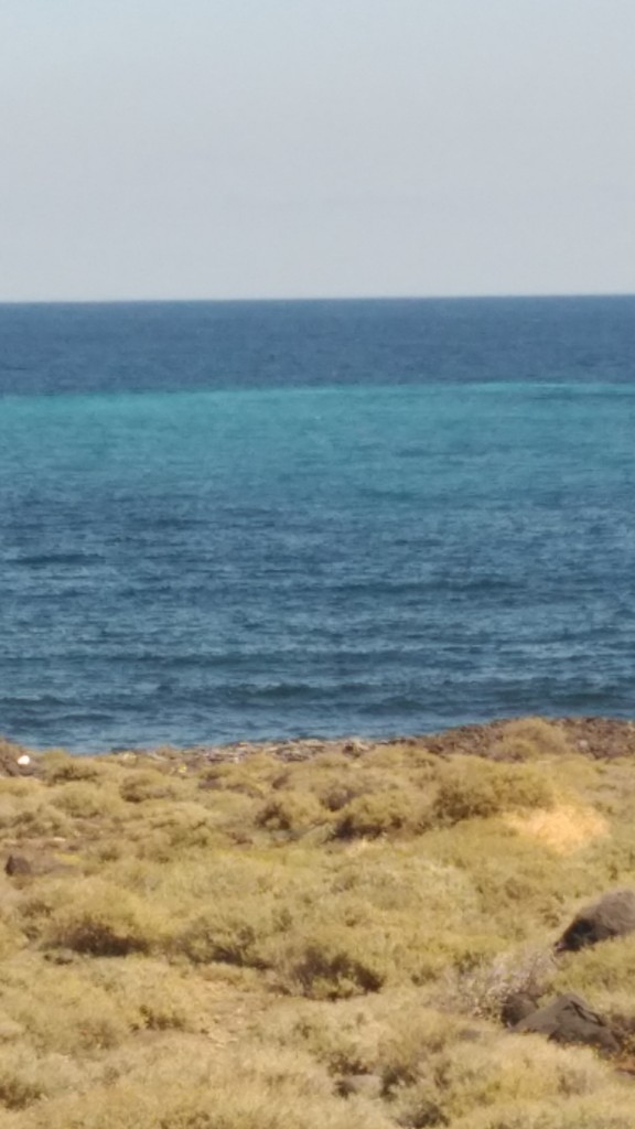 Los vertidos de aguas sin depurar al mar con una constante. / DA