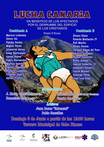 Cartel lucha benefica Arona