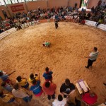 fp Torneo individual de lucha benjamin y alevin La Orotava