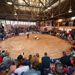 fp Torneo individual de lucha benjamin y alevin La Orotava