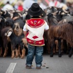 La desconocida romería de Tenerife que se celebra mañana por todo lo alto