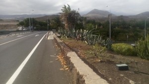 Entorno del aeropuerto del Sur. / DA