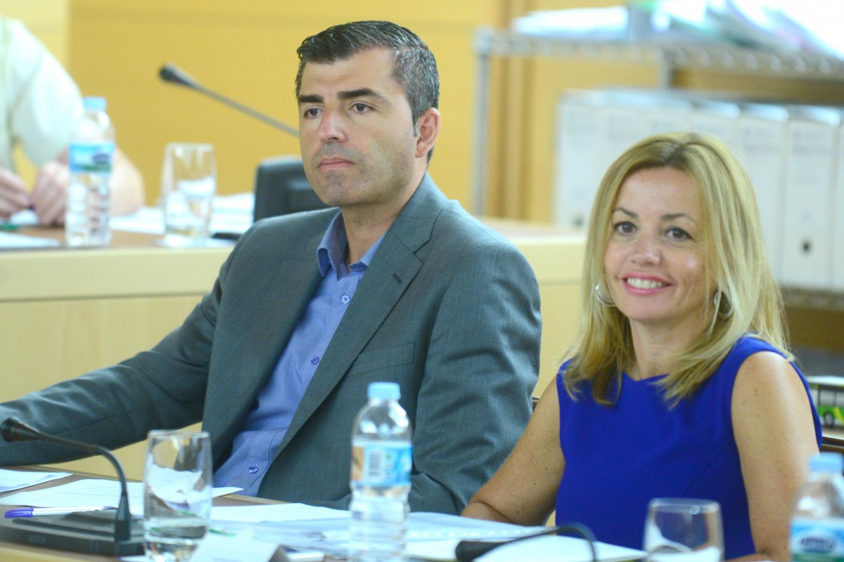 Ana Zurita, junto al presidente del PP en Tenerife, Manuel Domínguez, en un pleno del Cabildo tinerfeño, donde ambos son consejeros. / SERGIO MÉNDEZ