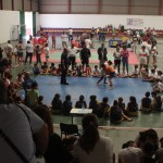 escuelas municipales de lucha de Gran Canaria 1