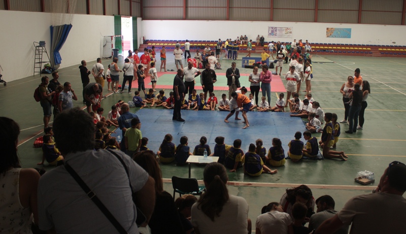 escuelas municipales de lucha de Gran Canaria 1