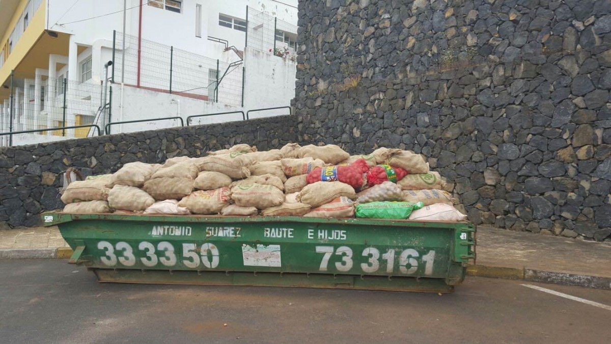 Desde que fue detectada en 1999, la polilla guatemalteca ha afectado al cultivo de papas, sobre todo en el norte de la Isla. /DA