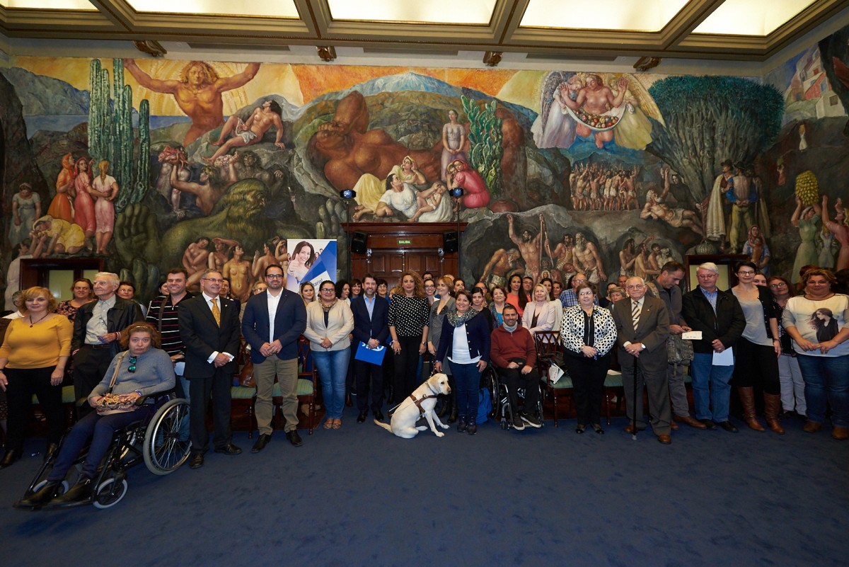 El Cabildo tinerfeño organizó un encuentro en el Palacio Insular con las ONG de la Isla adscritas al programa Tenerife Solidario. / DA