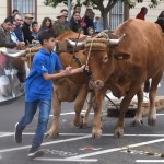 07-07-2016 la laguna arrastre de ganado en san benito