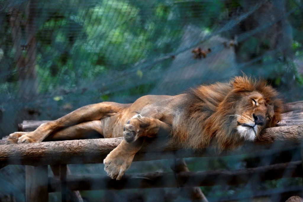 FOTO: REUTERS