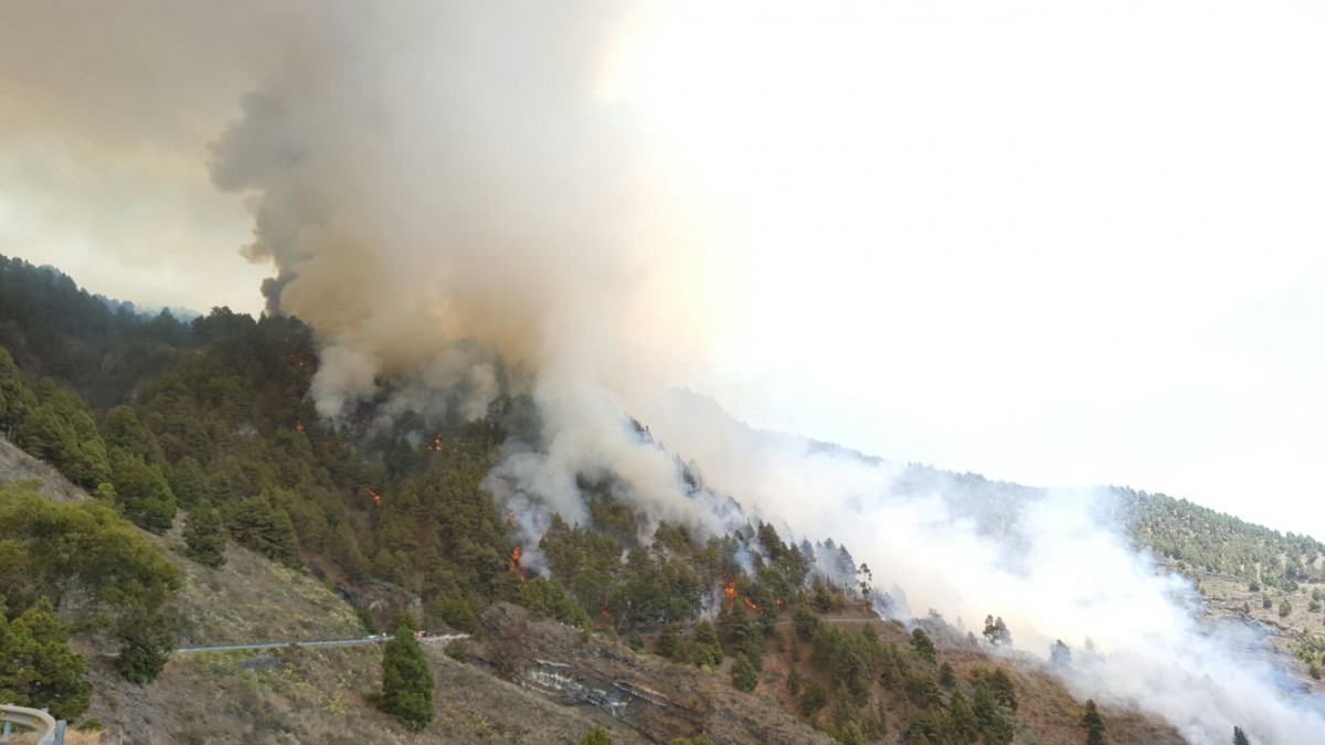 Imágenes del incendio forestal en La Palma. | DA