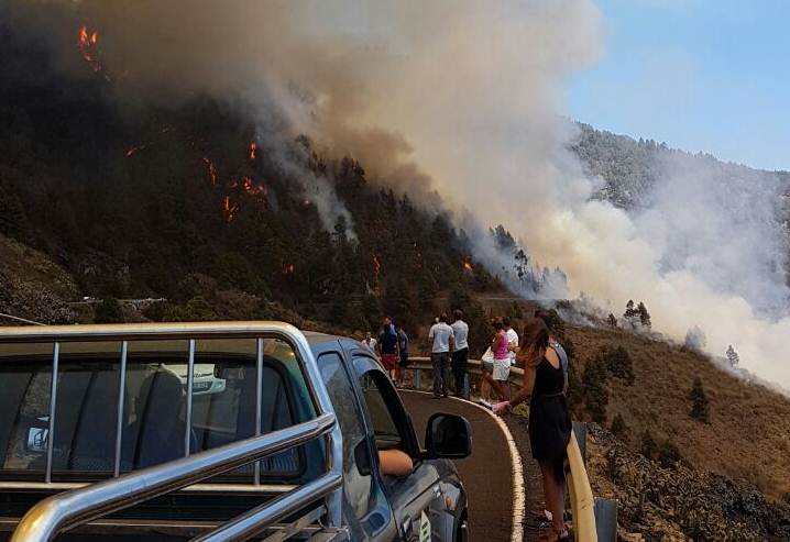 Imágenes del incendio forestal en La Palma, en agosto 2016. | DA