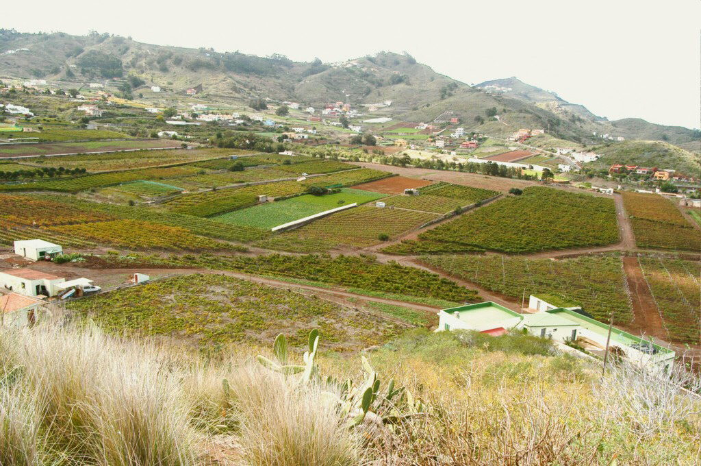 Las explotaciones agrícolas podrán incluir otros usos complementarios a esta actividad. / DA