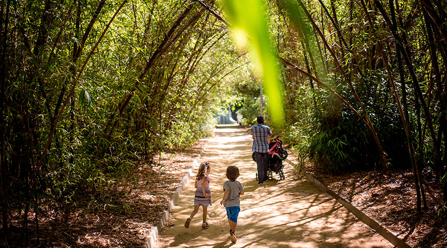 PARQUE GARCÍA SANABRIA