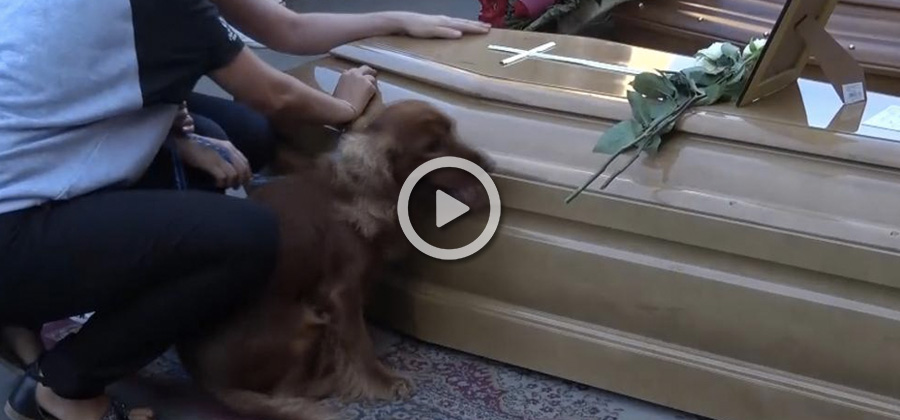 Perro funeral Italia terremoto