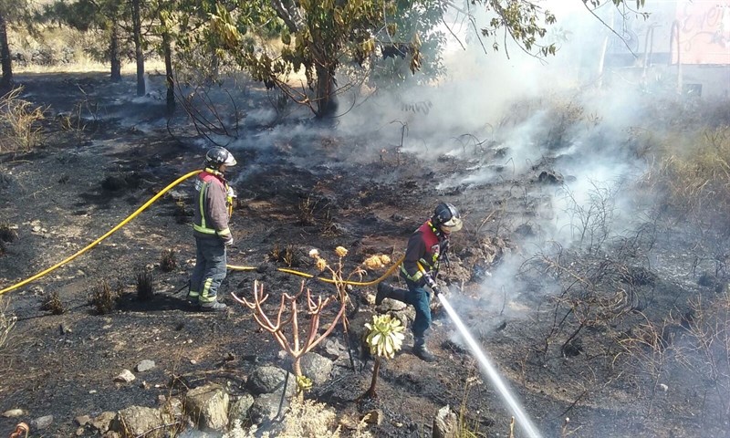 Bomberos apagando el fuego de los rastrojos. | CEDIDA