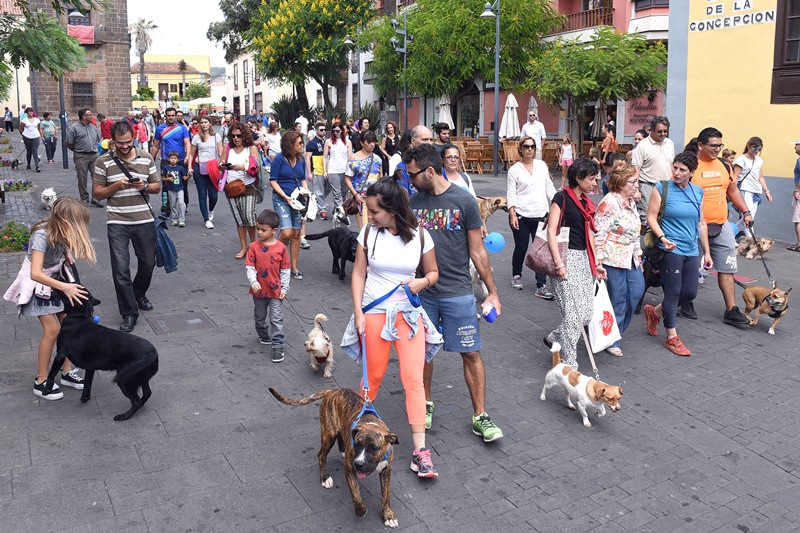 Foto SERGIO MÉNDEZ