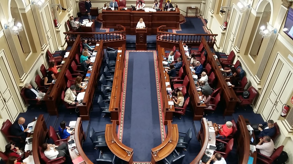 Momento del pleno en el que Pepa Luzardo defiende la propuesta, que fue rechazada. / DA