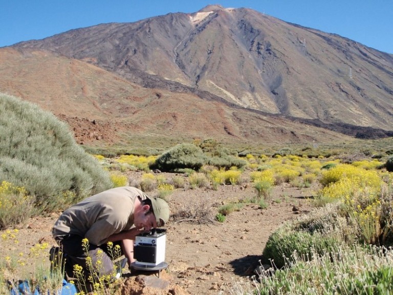 Cuando Fue La Ultima Vez Que Erupciono El Teide
