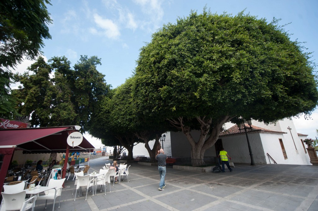Plaza Viera y Clavijo Los Realejos