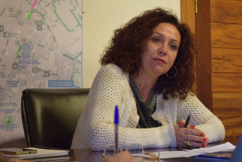 La concejal de Comercio, María José Castañeda, ayer. / DA