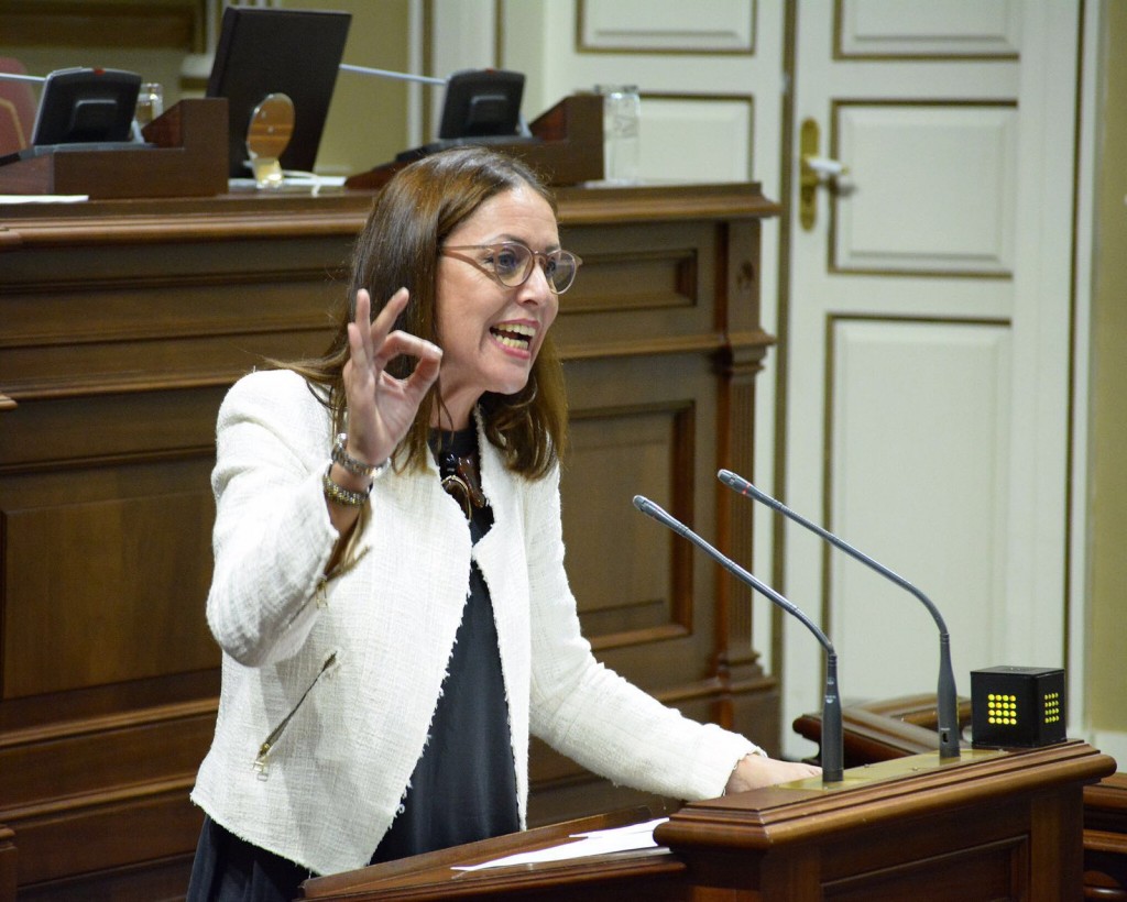 Cristina Tavío durante una sesión plenaria del Parlamento de Canarias | DA