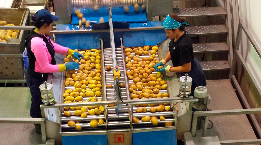 COOPERATIVA SAN MIGUEL AGRICULTORES