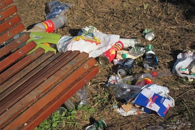 Imagen de los desechos tras un botellón / EUROPA PRESS