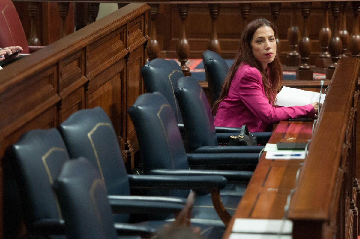 Patricia Hernandez, en el Parlamento de Canarias. / FRAN PALLERO