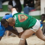 lucha canaria Victoria Guamasa