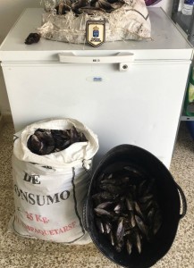 MAJILLONES INCAUTACION CANARIAS