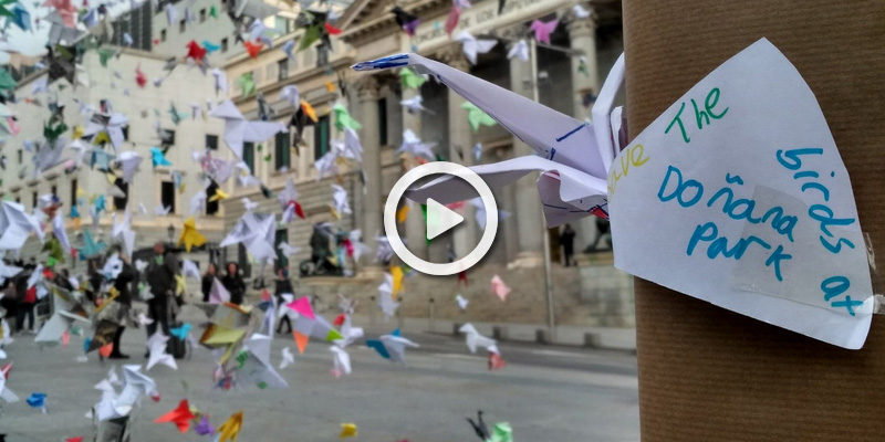 ORIGAMI AVES CONGRESO DOÑANA