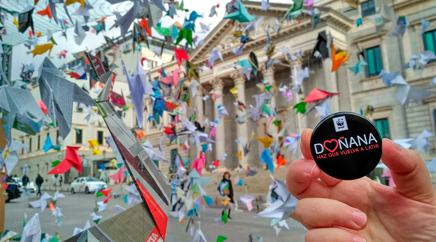 ORIGAMI CONGRESO DONANA