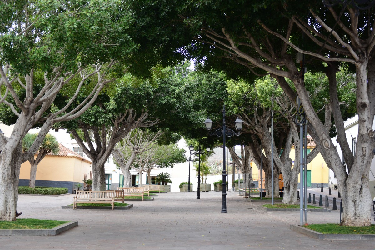 La falta de actividad en los cascos se percibe, sobre todo, al caer la tarde. En la imagen, la plaza de Arona. S. Méndez 