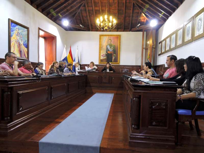 El pleno extraordinario se celebró el viernes / Norchi