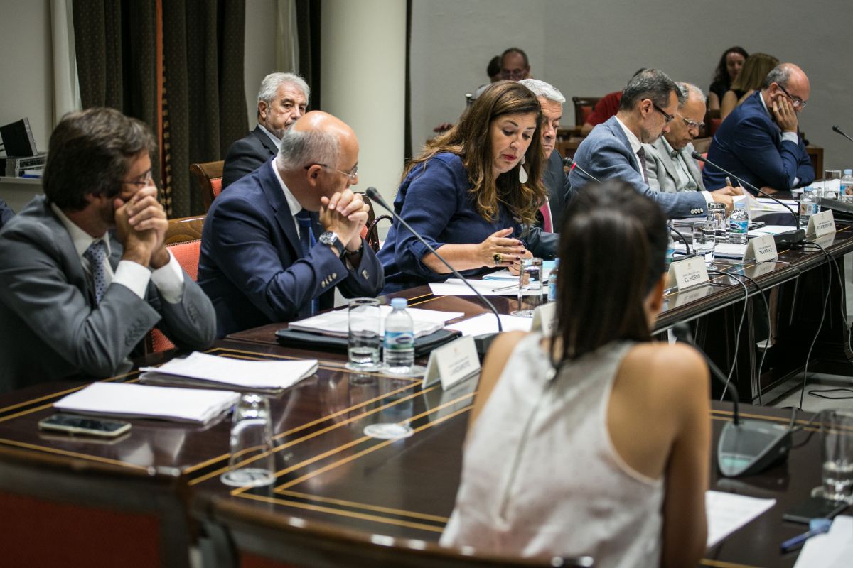 Una sesión de la Comisión General de Cabildos Insulares, en el Parlamento de Canarias. / ANDRÉS GUTIÉRREZ