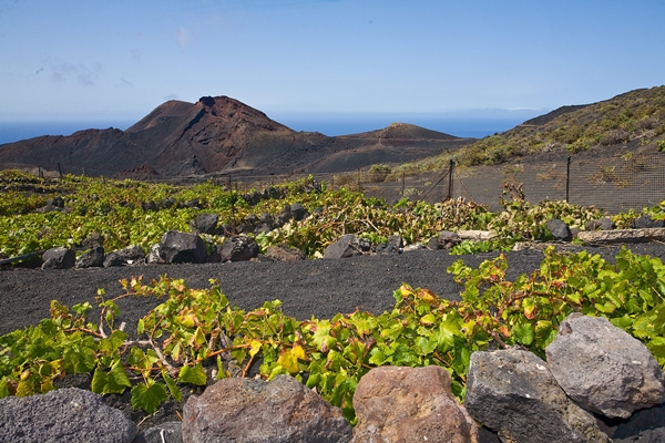 La actividad geotérmica en la Isla podría ser una de las vías 