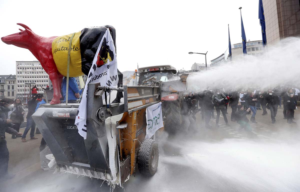 Ganaderos protestan en Bruselas | REUTERS/Francois Lenoir