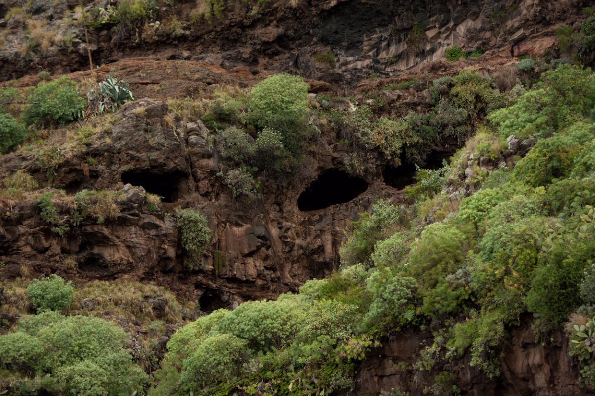 La finca en la que se encuentra la cueva de Bencomo está en La Orotava, pero su entrada no está aún definida. Fran Pallero