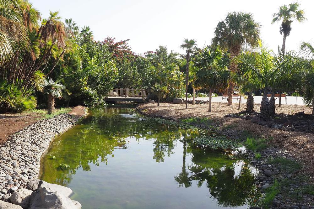 El Palmetum de Santa Cruz gana el premio Travelers' Choice 2022 de Tripadvisor