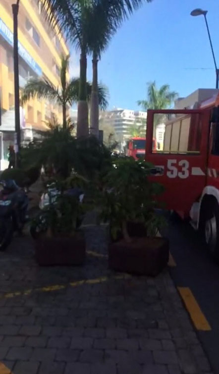 Los bomberos desplazaron varios camiones al lugar del siniestro | DA 