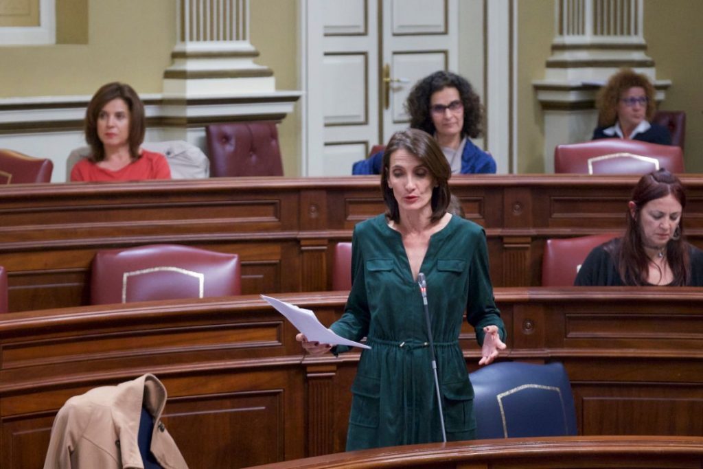 La consejera de Turismo, Cultura y Deportes, María Teresa Lorenzo, ante el Parlamento de Canarias. DA