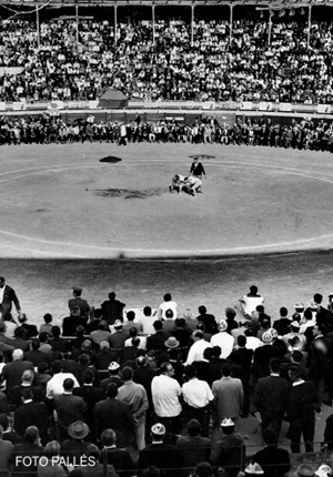 Luchada Plaza de Toros