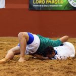Tenerife Fuerteventura Campeonato de Canarias de Selecciones infantiles Torneo Faro de Maspalomas