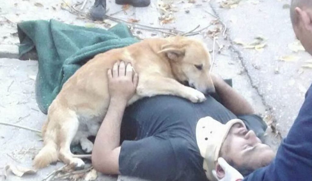 Tony, el perro que acompañó a su dueño accidentado. FOTO Defensa Civil Bahía Blanca