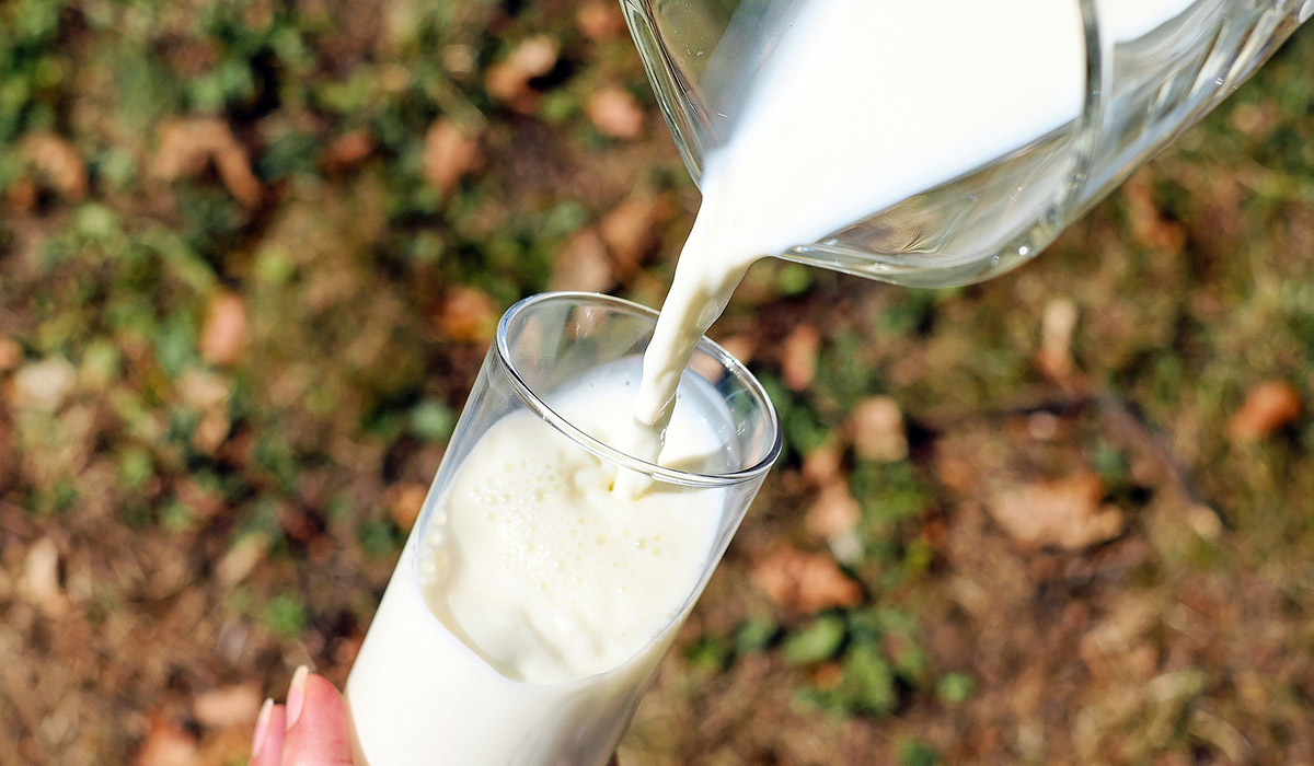 Imagen de archivo de un vaso de leche. DA
