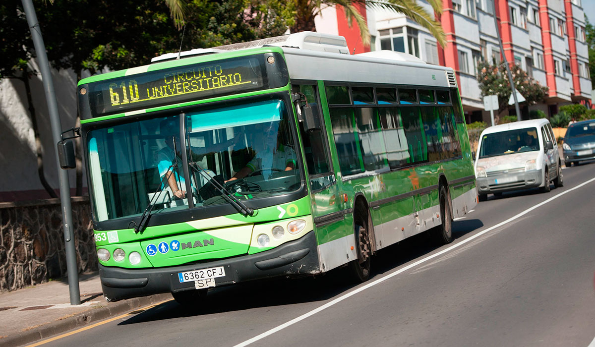 GUAGUA UNIVERSITARIA