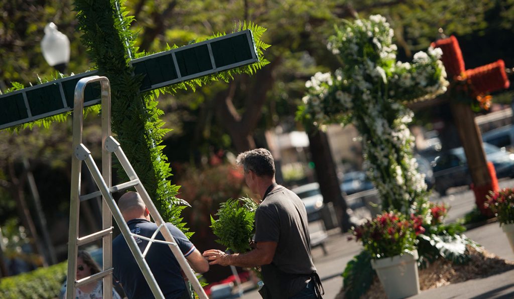 La Rambla de Santa Cruz ya mostraba ayer los trabajos de elaboración de las primeras cruces de flores naturales, que hoy serán protagonistas en el paseo capitalino de Las Tinajas, junto a las 29 de materiales reciclados elaboradas por otros tantos centros educativos. Fran Pallero
