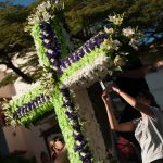 La Rambla de Santa Cruz ya mostraba ayer los trabajos de elaboración de las primeras cruces de flores naturales, que hoy serán protagonistas en el paseo capitalino de Las Tinajas, junto a las 29 de materiales reciclados elaboradas por otros tantos centros educativos. Fran Pallero