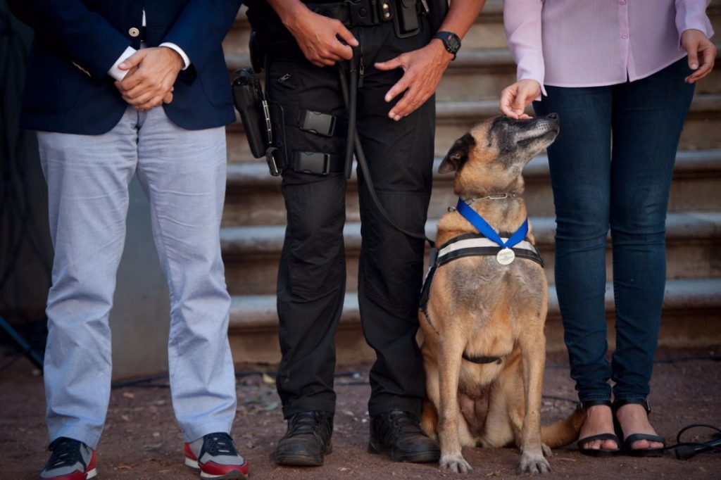 Nira, una de las perras homenajeadas, recibe la caricia de Zaida González, concejal de Seguridad Ciudadana que ha impulsado la iniciativa | FOTO: Fran Pallero